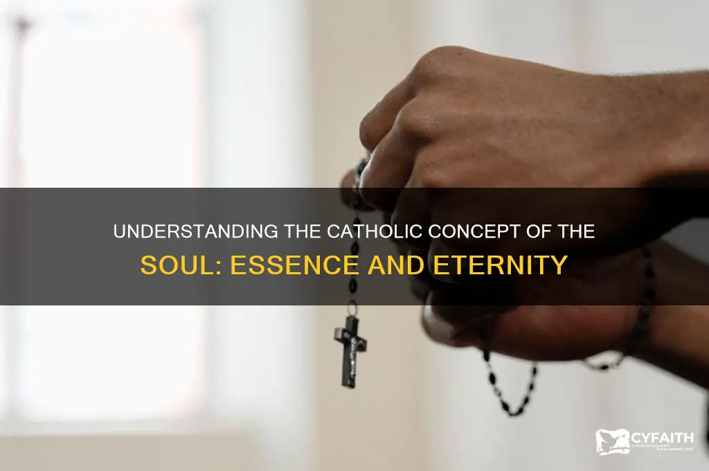 what is a soul catholic