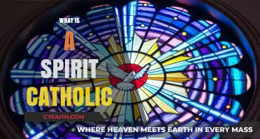 Understanding the Spirit Catholic: Faith, Tradition, and Modern Practice