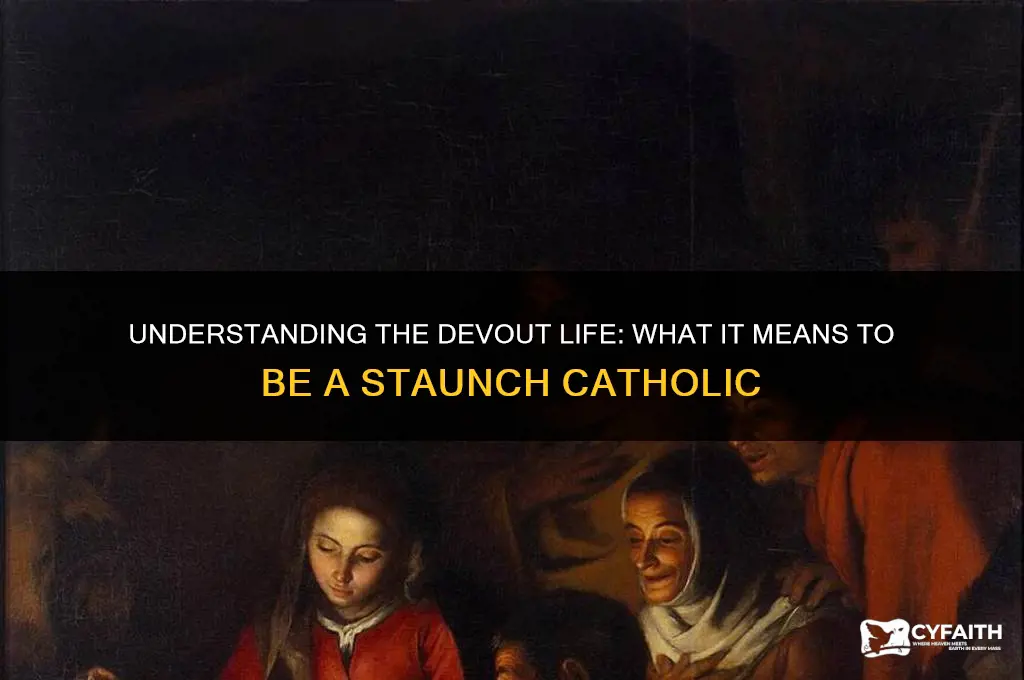 what is a staunch catholic