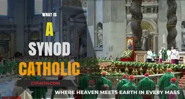 Understanding the Role and Significance of a Synod in Catholicism