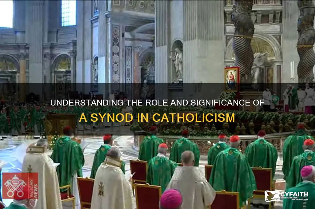 what is a synod catholic