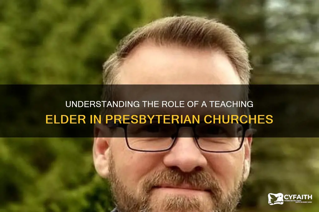 what is a teaching elder in the presbyterian church