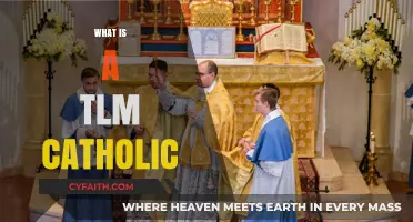 Understanding the Traditional Latin Mass: What is a TLM Catholic?