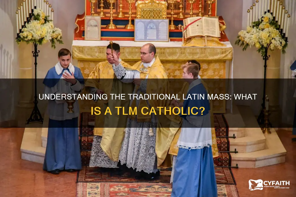 what is a tlm catholic