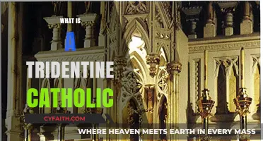 Understanding the Tridentine Catholic: Traditions, Liturgy, and Faith Explained