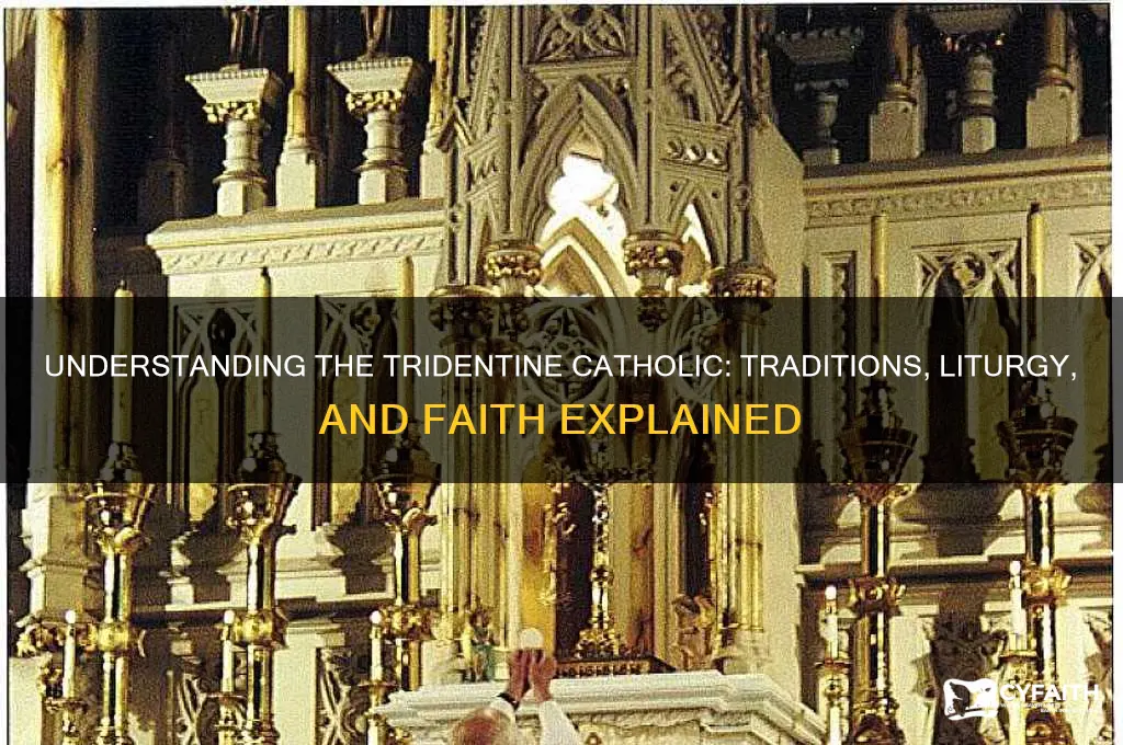 what is a tridentine catholic