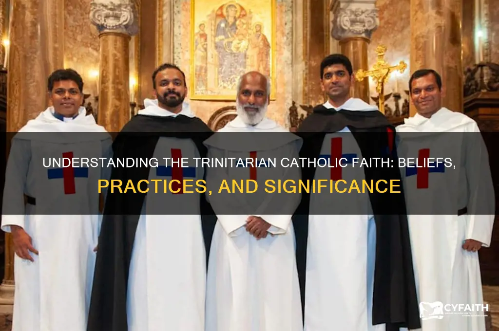 what is a trinitarian catholic