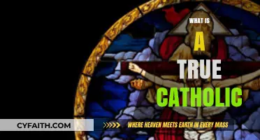 Understanding the Essence of a True Catholic Faith and Identity