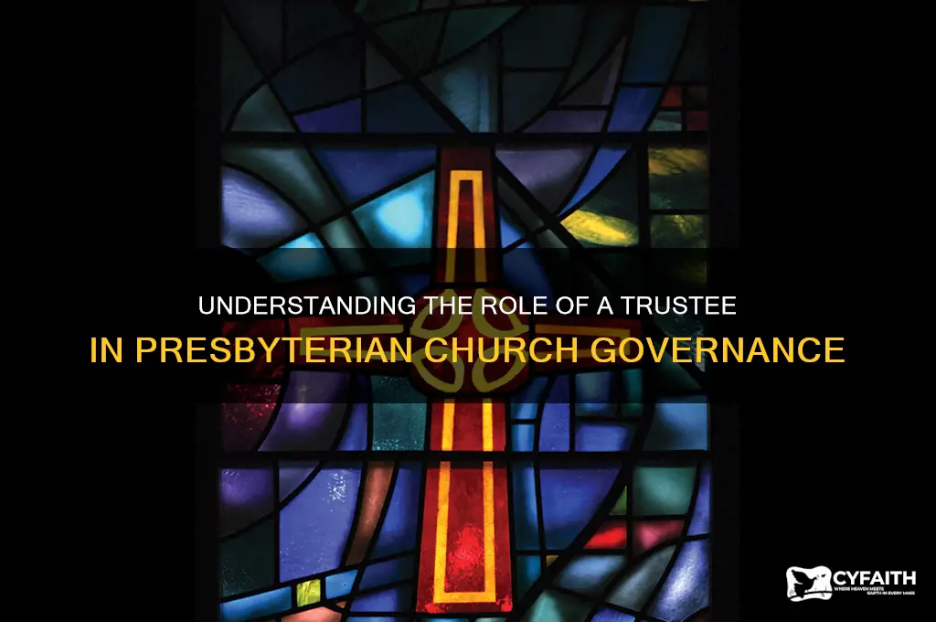 what is a trustee in a presbyterian church
