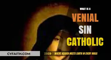 Understanding Venial Sins in Catholicism: A Guide to Lesser Offenses