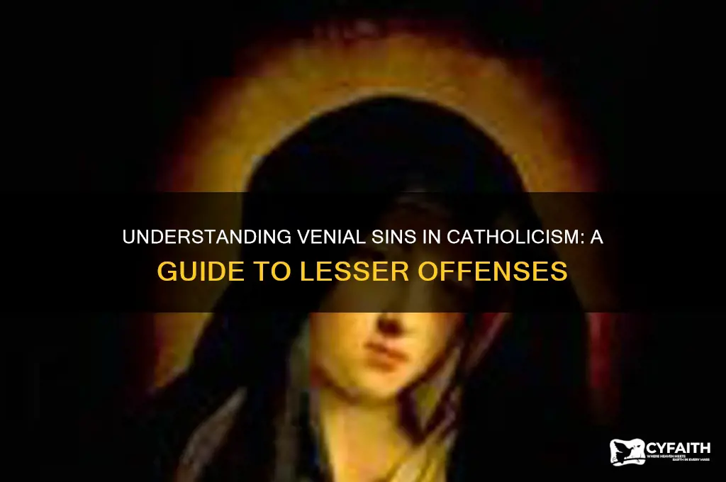 what is a venial sin catholic