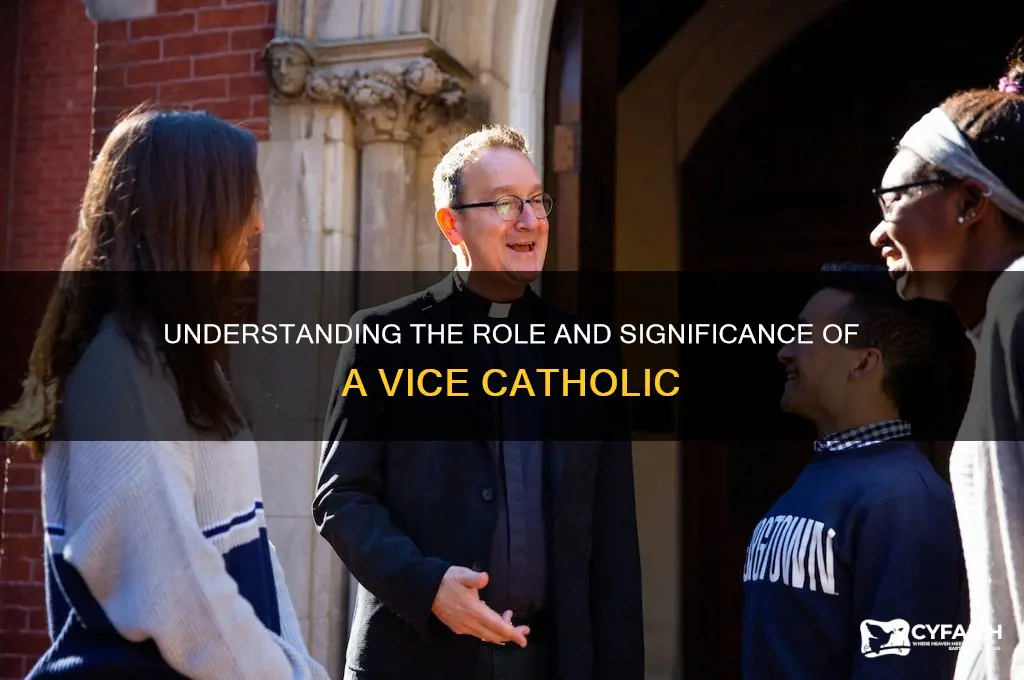 what is a vice catholic
