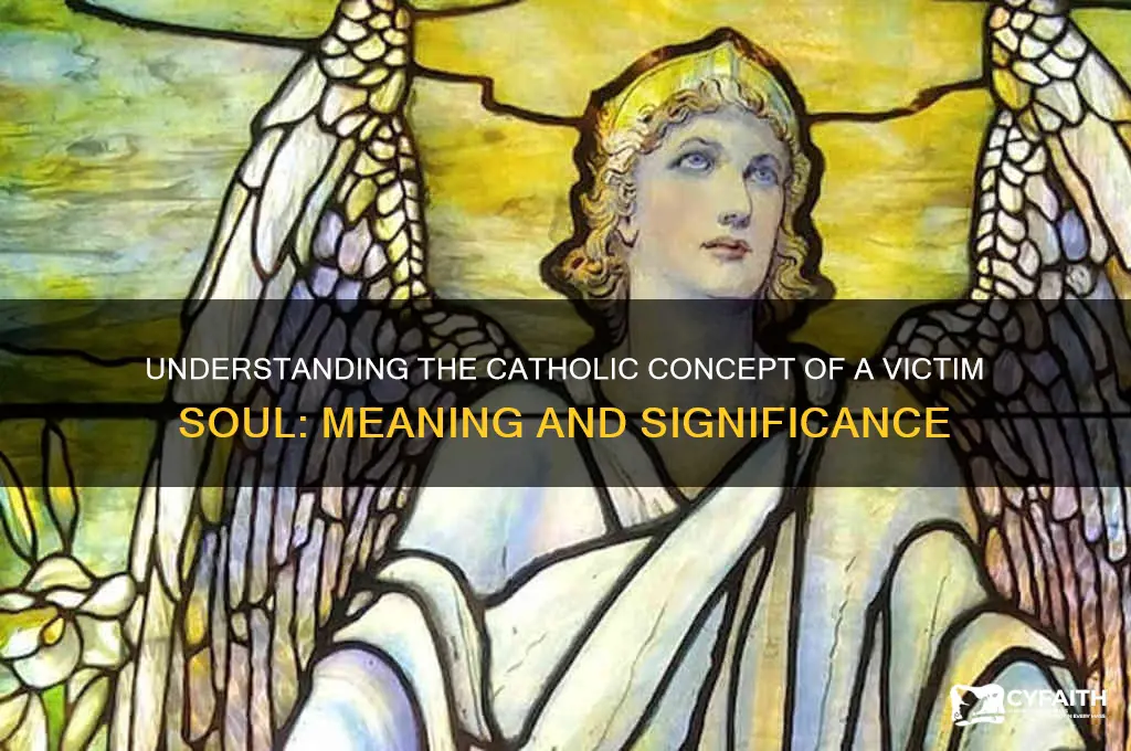 what is a victim soul catholic