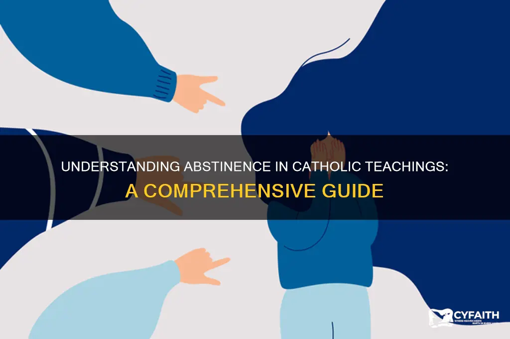 what is abstinence catholic