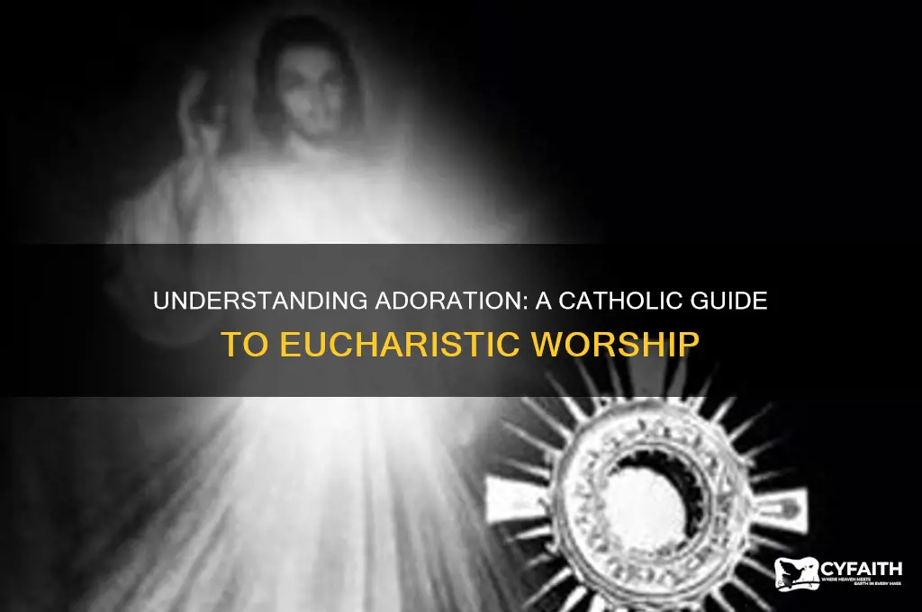 what is adoration catholic
