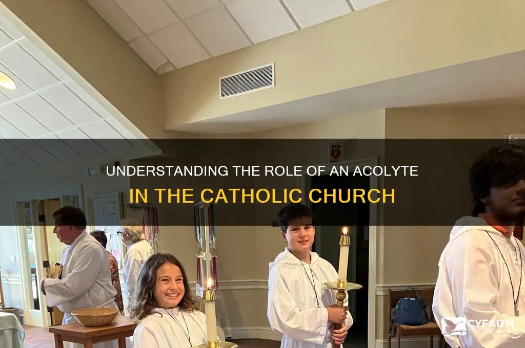 what is an acolyte catholic