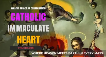 Understanding the Catholic Act of Consecration to the Immaculate Heart