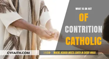 Understanding the Catholic Act of Contrition: Meaning and Significance