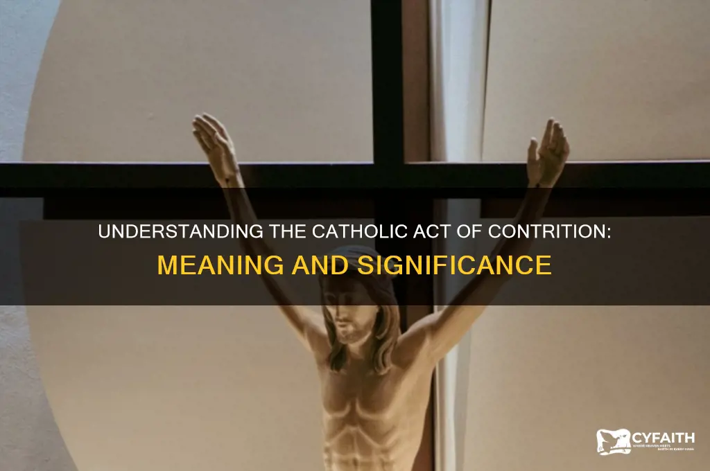 what is an act of contrition catholic