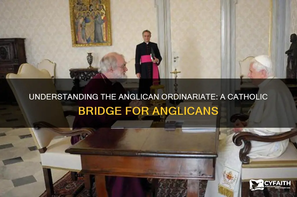 what is an anglican ordinariate