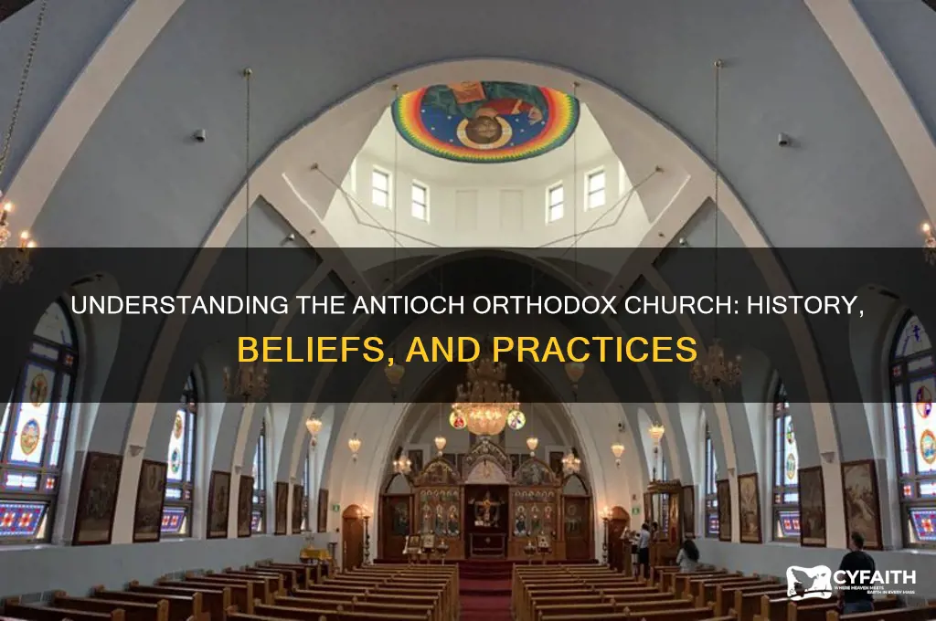 what is an antioch orthodox church