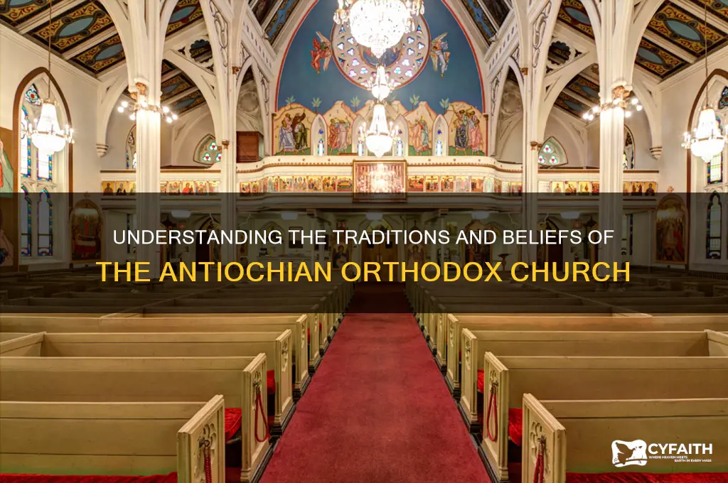 what is an antiochian orthodox church
