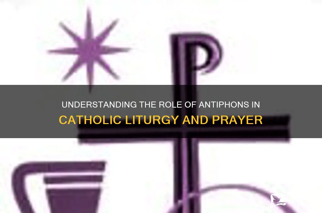 what is an antiphon catholic