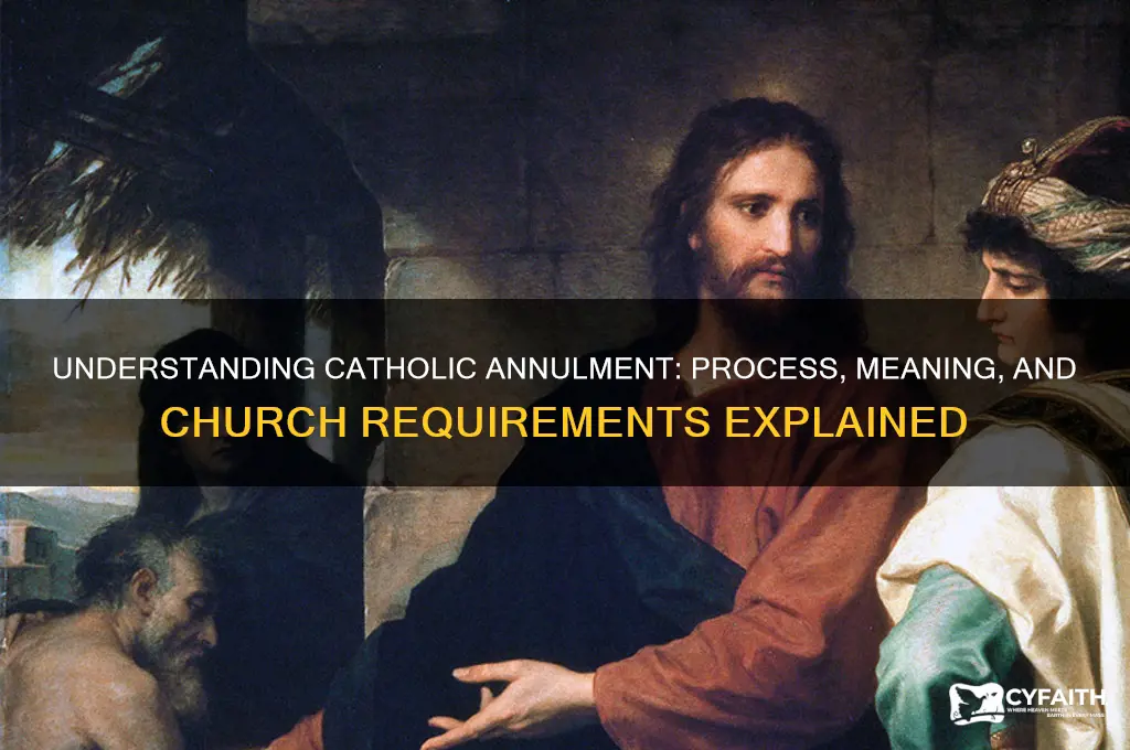what is an anullment catholic chuch