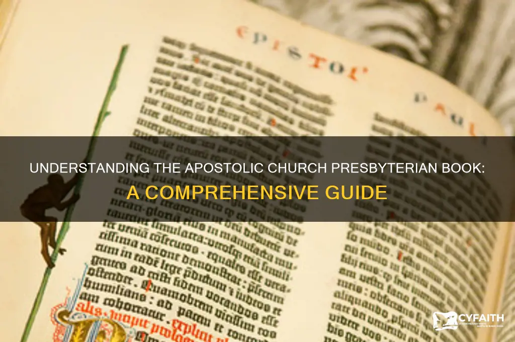 what is an apostolic church presbyterian book