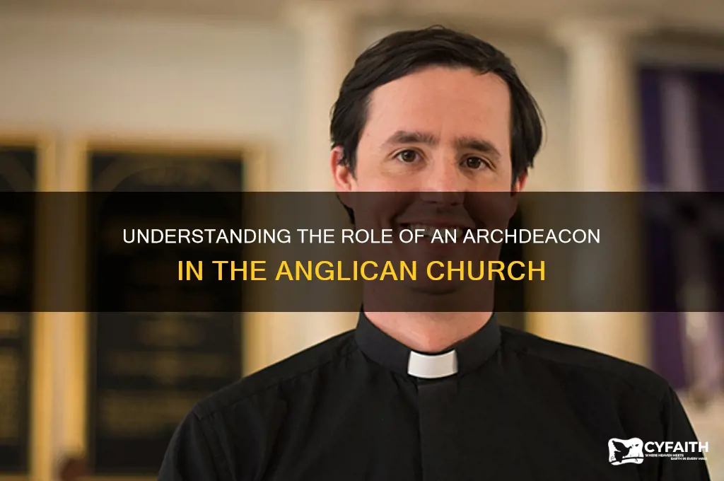 what is an archdeacon in anglican church