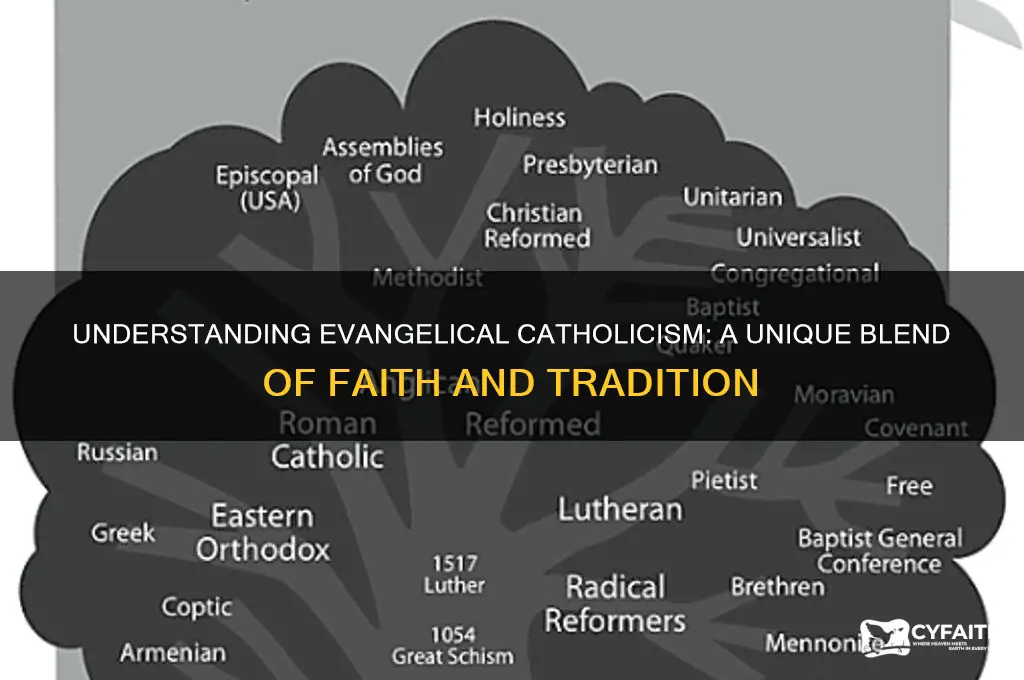 what is an evangelical catholic