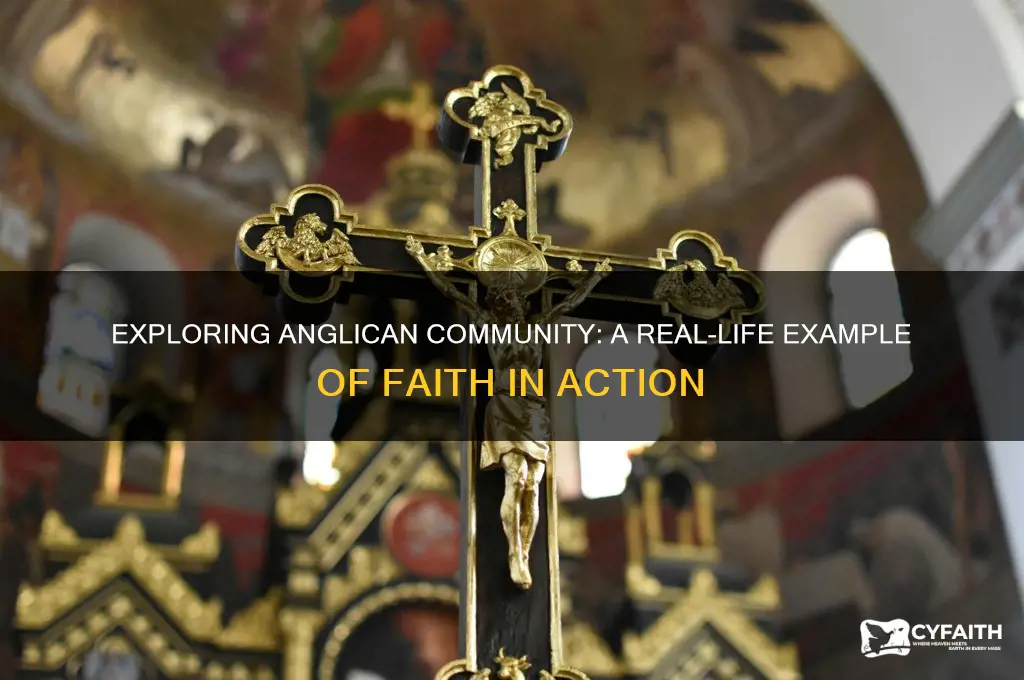 what is an example of anglican community