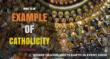 Understanding Catholicity: A Universal Faith in Action and Practice