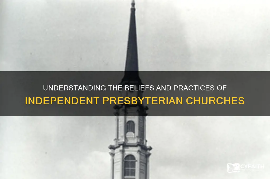 what is an independent presbyterian church