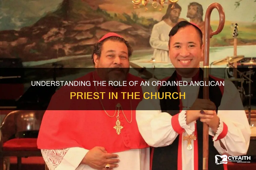 what is an ordained anglican priest