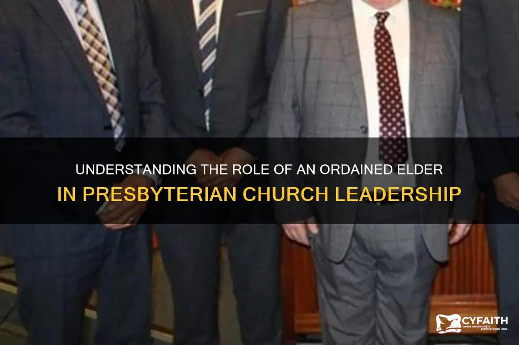 what is an ordained elder in the presbyterian church