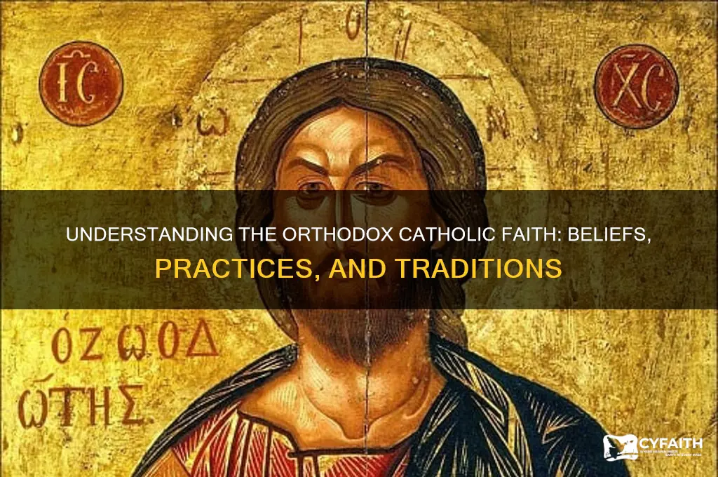 what is an orthodox catholic