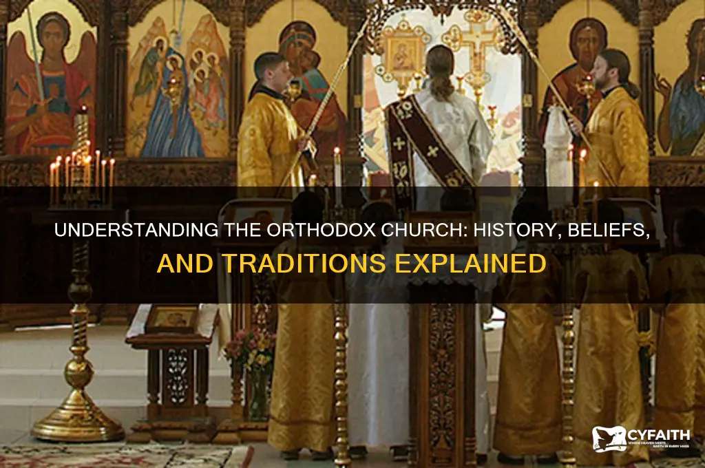 what is an orthodox chirch