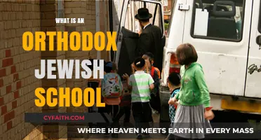 Understanding Orthodox Jewish Schools: Traditions, Curriculum, and Community Values