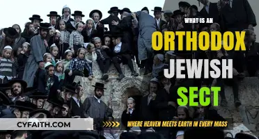Understanding the Orthodox Jewish Sect: Beliefs, Practices, and Traditions