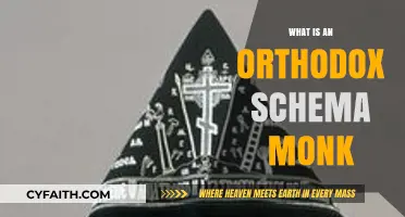 Understanding the Role of an Orthodox Schema Monk in Monastic Life