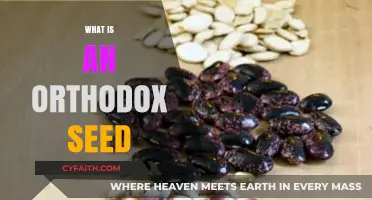 Understanding Orthodox Seeds: Preservation, Storage, and Longevity Explained