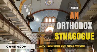 Understanding the Traditions and Practices of an Orthodox Synagogue
