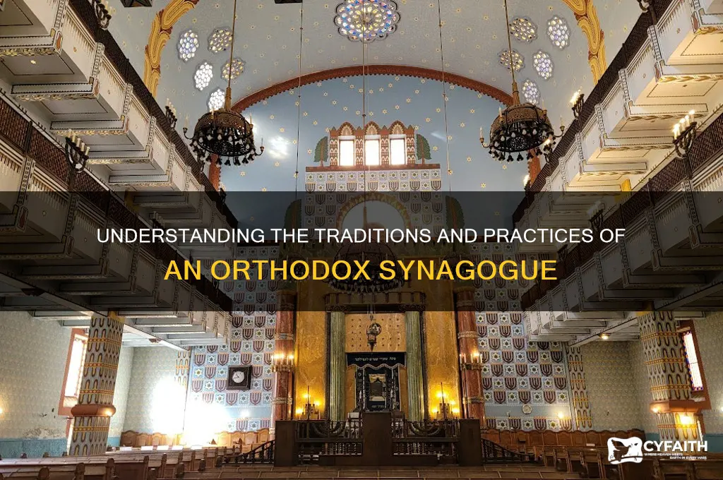 what is an orthodox synagogue