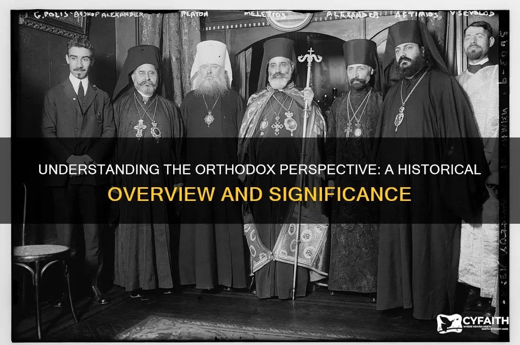 what is an orthodox view in history