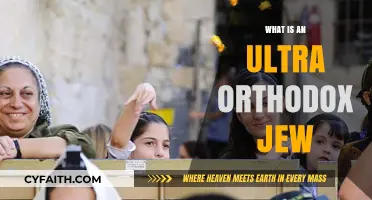 Understanding Ultra-Orthodox Judaism: Beliefs, Practices, and Lifestyle Explained