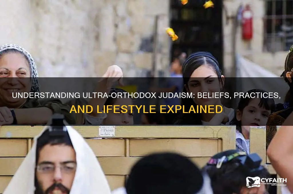 what is an ultra orthodox jew