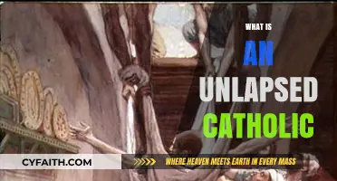 Understanding the Faith: What It Means to Be an Unlapsed Catholic
