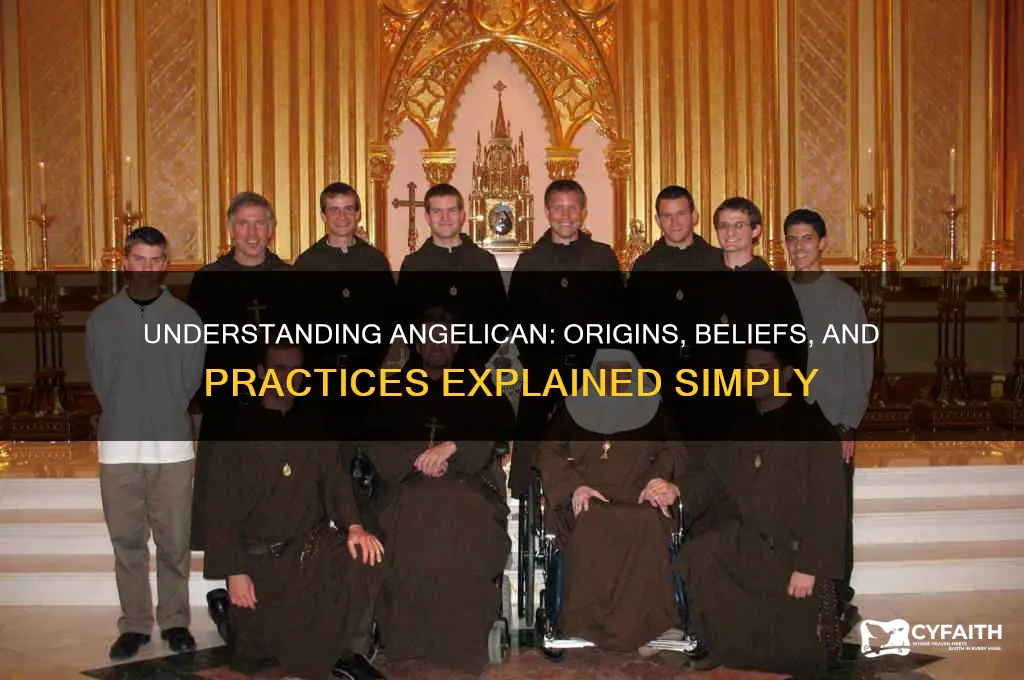 what is angelican