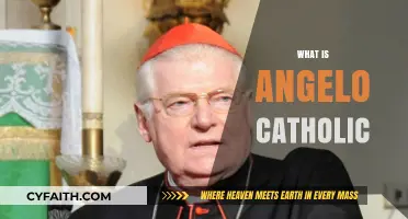 Understanding Angelo Catholic: Beliefs, Practices, and Community Explained
